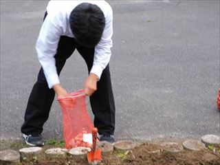 球根植えの様子4