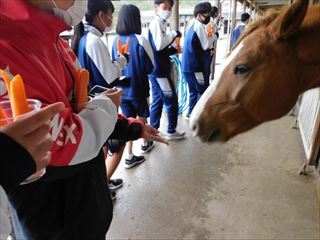 修学旅行の様子4