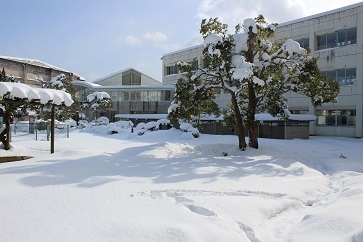 校舎の雪の様子
