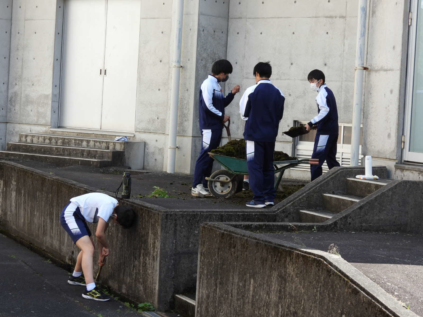 体育館回りの苔取り