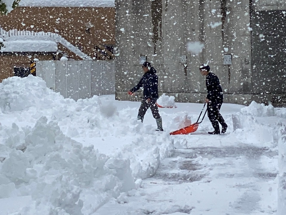 職員による除雪