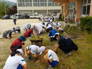 地域の人たちと草取りをしています