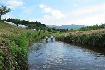 きれに草刈りがしてあります。