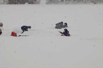 雪に埋もれて遊んでいます。