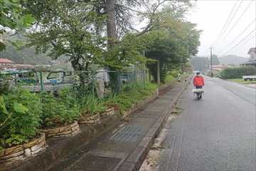 校庭の周りもきれいにしてます。
