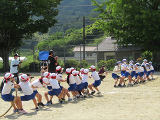 全校綱引きの様子です