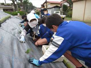 地域の方に教わっています。