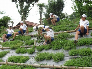 斜面で作業中