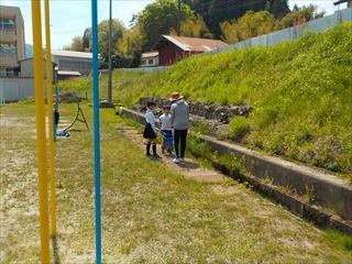 子供たちが生き物見つけをしています