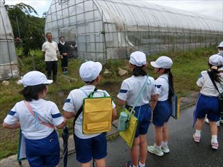 見学したビニルハウス前の様子です