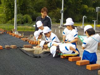 ろ過池の様子を見ています