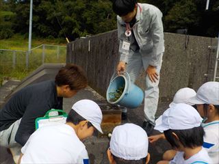 模型で水がろ過される様子を観察しました