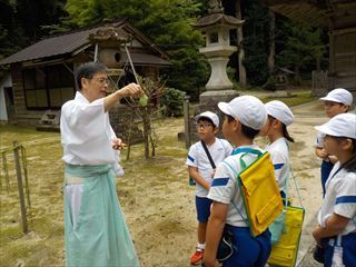 神木である桂の説明を聞いています