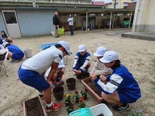 一人一鉢ずつパンジーを植えました。