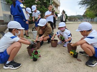 班ごとにプランターにビオラを植えました。