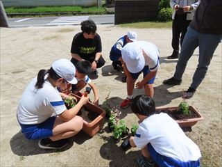 これから水やりをして大切に育てます。