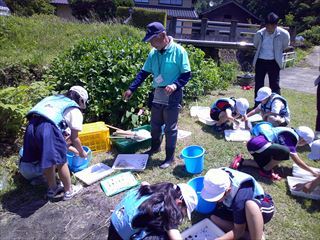 水質調査や生き物調べをしました。