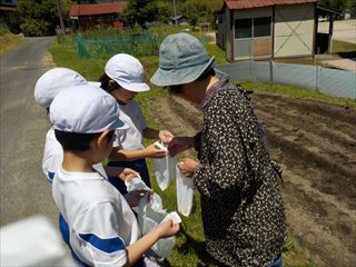 こまんば市の皆さんにきていただき大豆の種まきをしました。