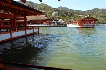 miyajima2