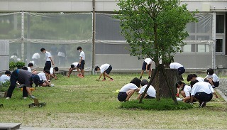 草抜き活動の様子です