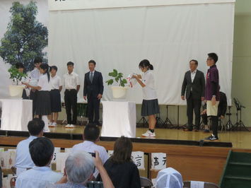 r6heiwa4