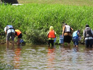 水中生物をとる