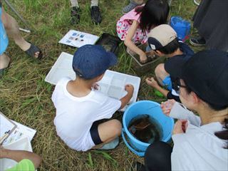 指標生物ごとに分ける