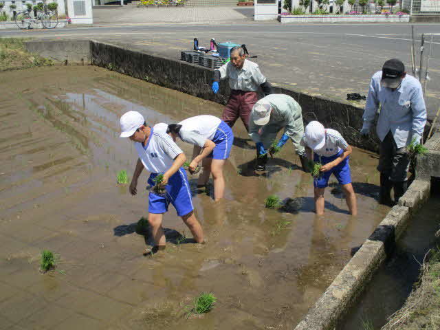 いっしょに田植え