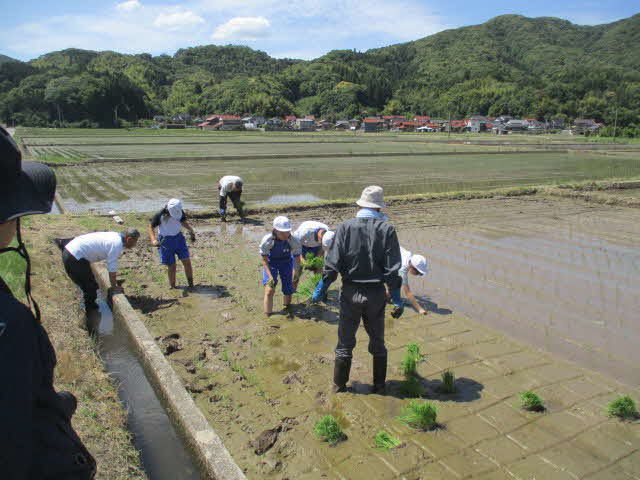 なかよく田植え