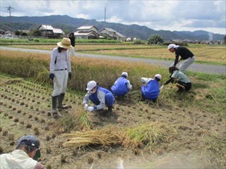 よりでくくる