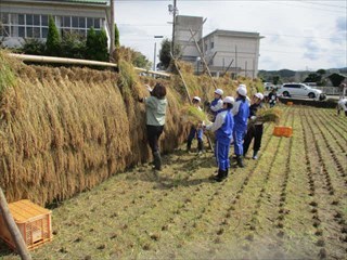 はでにかける