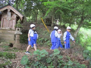 木の実集め
