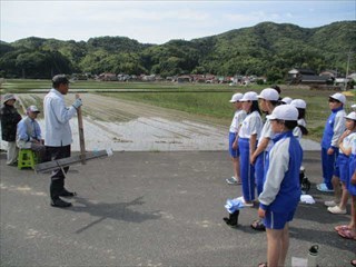 ばば引きの説明