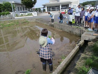 苗の植え方の説明