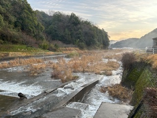 伯太川の様子