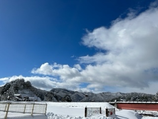 きれいな青空