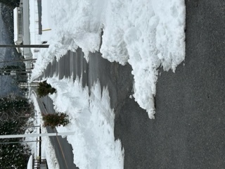 ビニルハウス前歩道