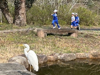 裏庭を走る低学年