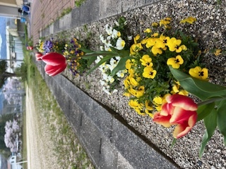 校舎前の花壇