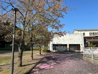 こども園桜