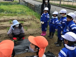 植え方を教えてもらう様子