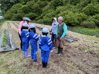苗植え1