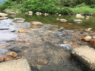 今朝の伯太川