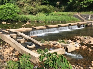 伯太川の様子