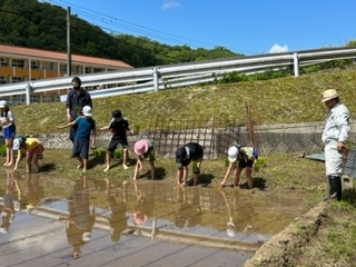 田植えの様子1