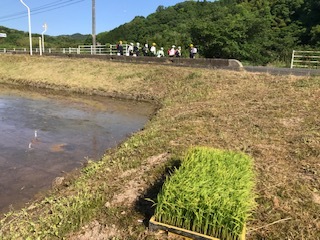 登校風景