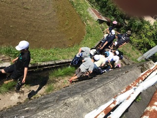 用水路で足洗