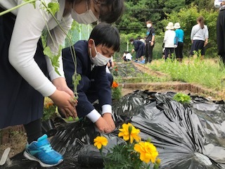 花植え4