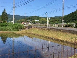 田んぼ