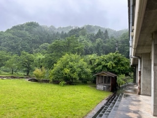 裏庭雨の様子